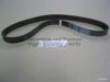 ASHUKI VM6-0915 V-Ribbed Belts